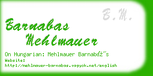 barnabas mehlmauer business card